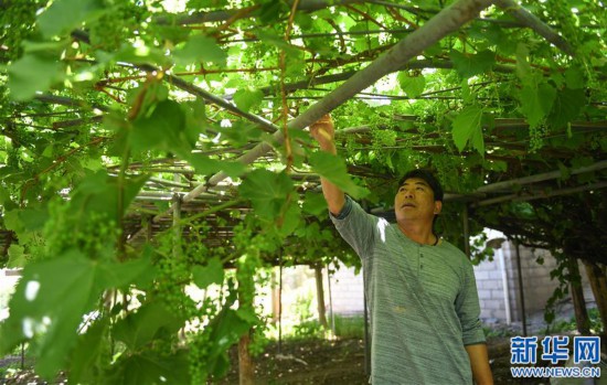 o ¨ 6 èμ°è è¥ è o¢é 1 1 è o· o3è¥ ° 1